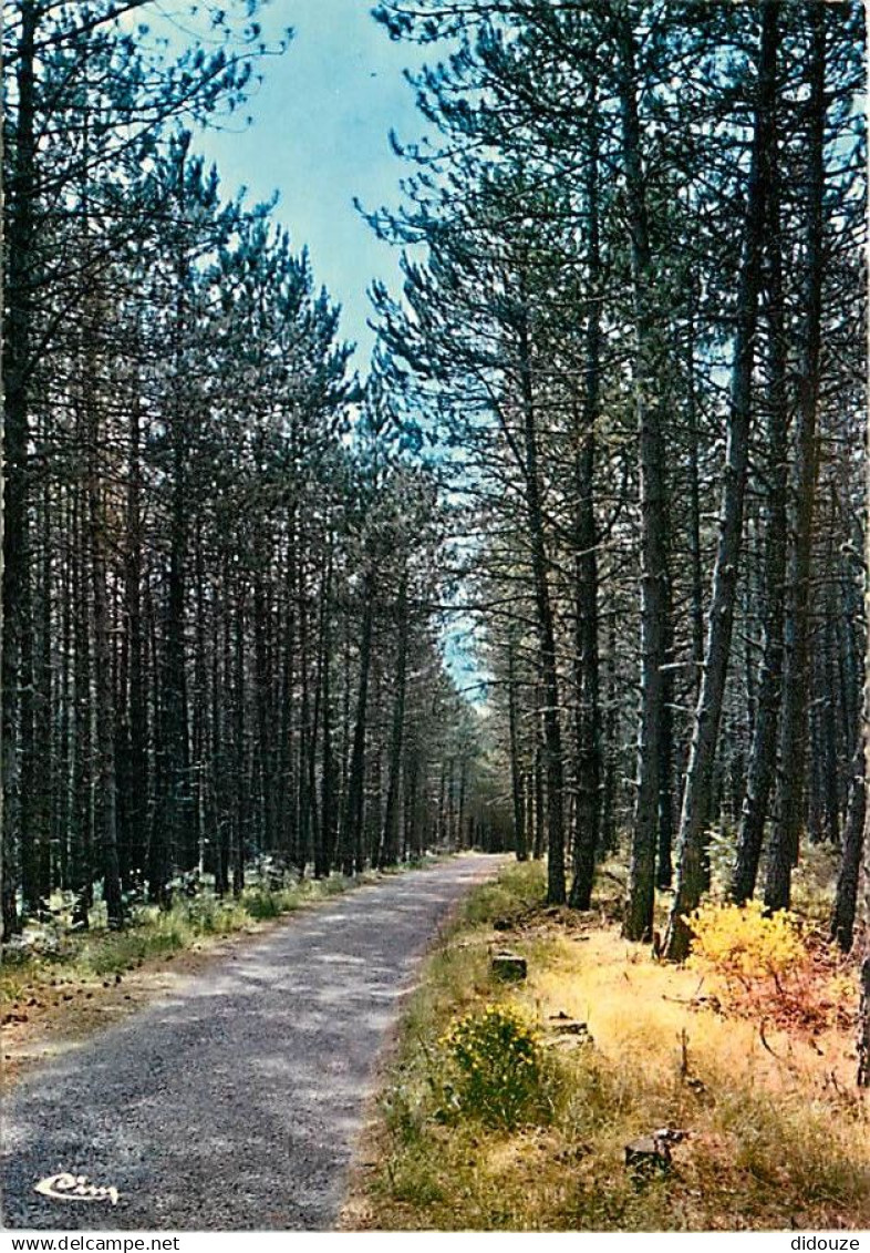 48 - Mende - Promenade aux environs de Mende - Chemin de l'Ermitage - CPM - Voir Scans Recto-Verso