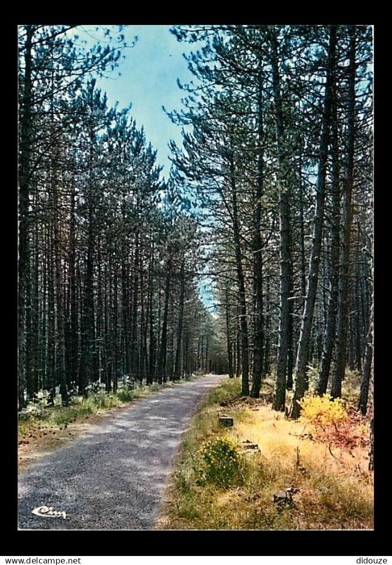 48 - Mende - Promenade aux environs de Mende - Chemin de l'Ermitage - CPM - Voir Scans Recto-Verso