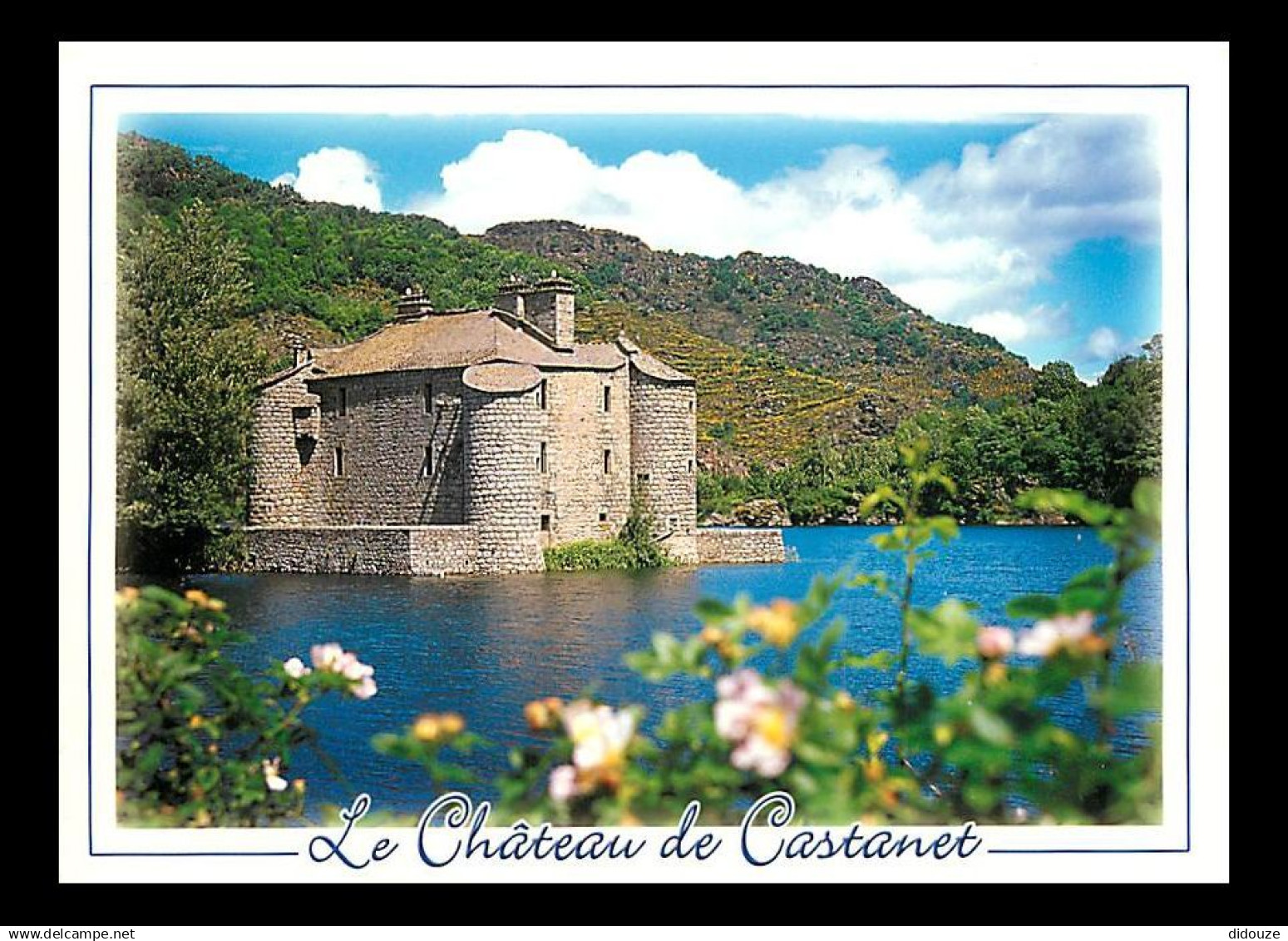 48 - Villefort - Le Château de Castanet - Construit sur un piton rocheux et cerné par les eaux du barrage de Villefort -