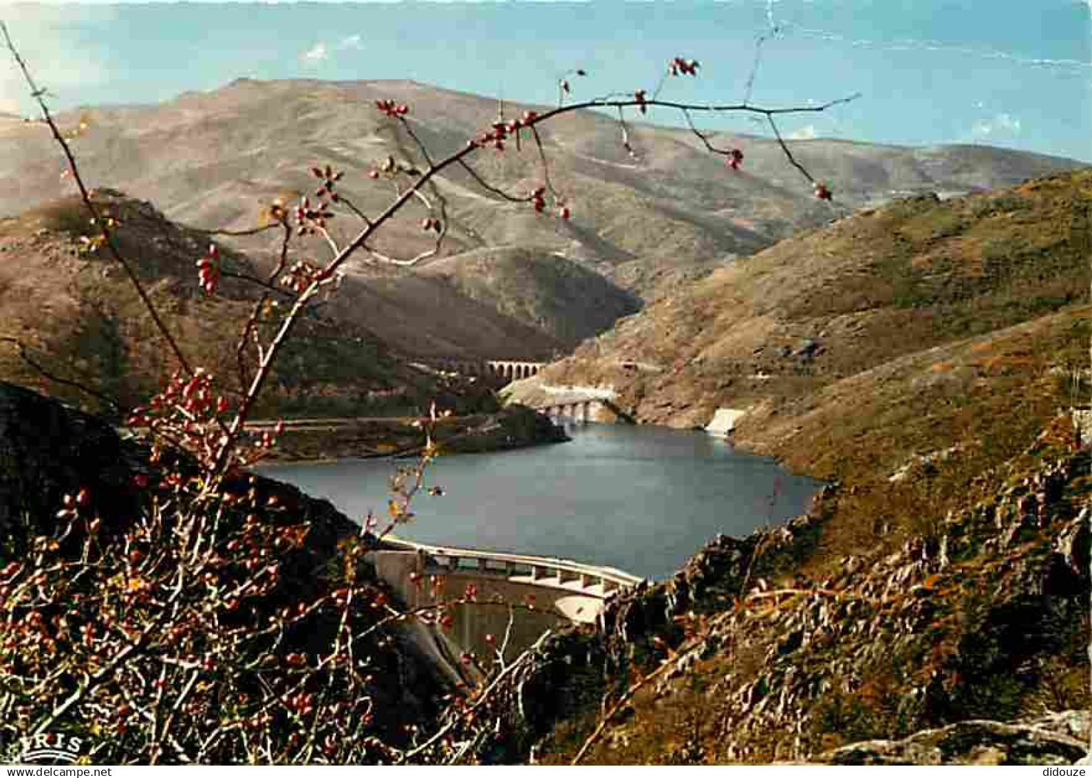 48 - Villefort - Plan d'eau et barrage - CPM - Voir Scans Recto-Verso