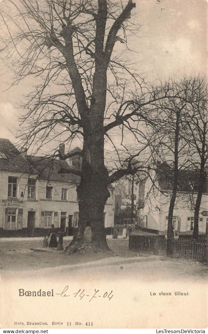 [-5%] BELGIQUE - Bruxelles-ville - Le vieux tilleul à Boendael - Carte postale ancienne