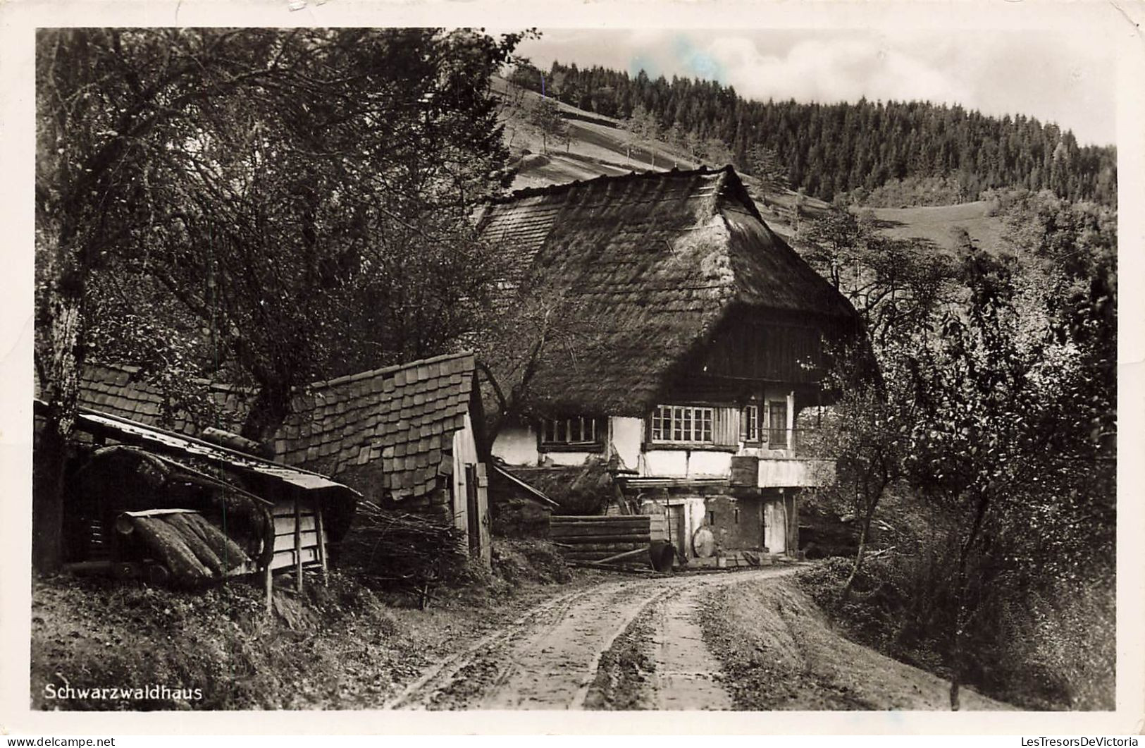 [-5%] MONDE - Schwazwaldhaus - Carte Postale Ancienne