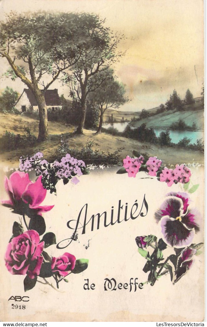 [-50%] Belgique - Meeffe - Amitiés de meeffe - Paysage et fleurs - Carte Postale Ancienne