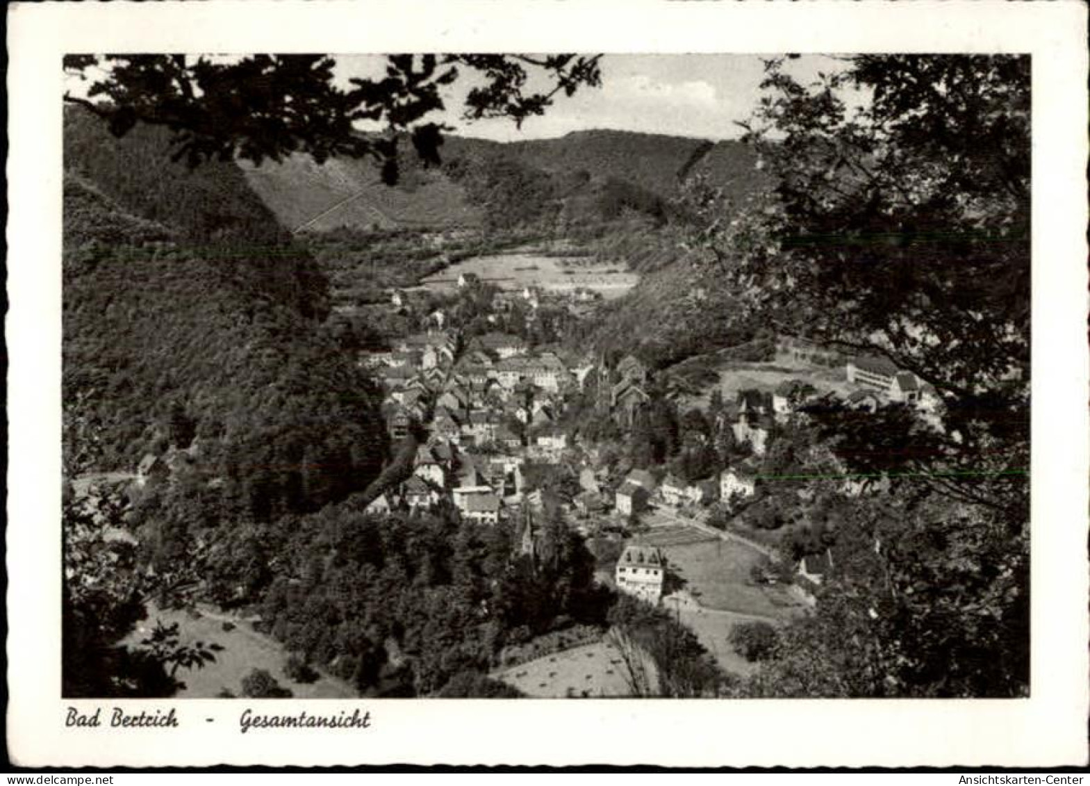 50478161 - Bad Bertrich