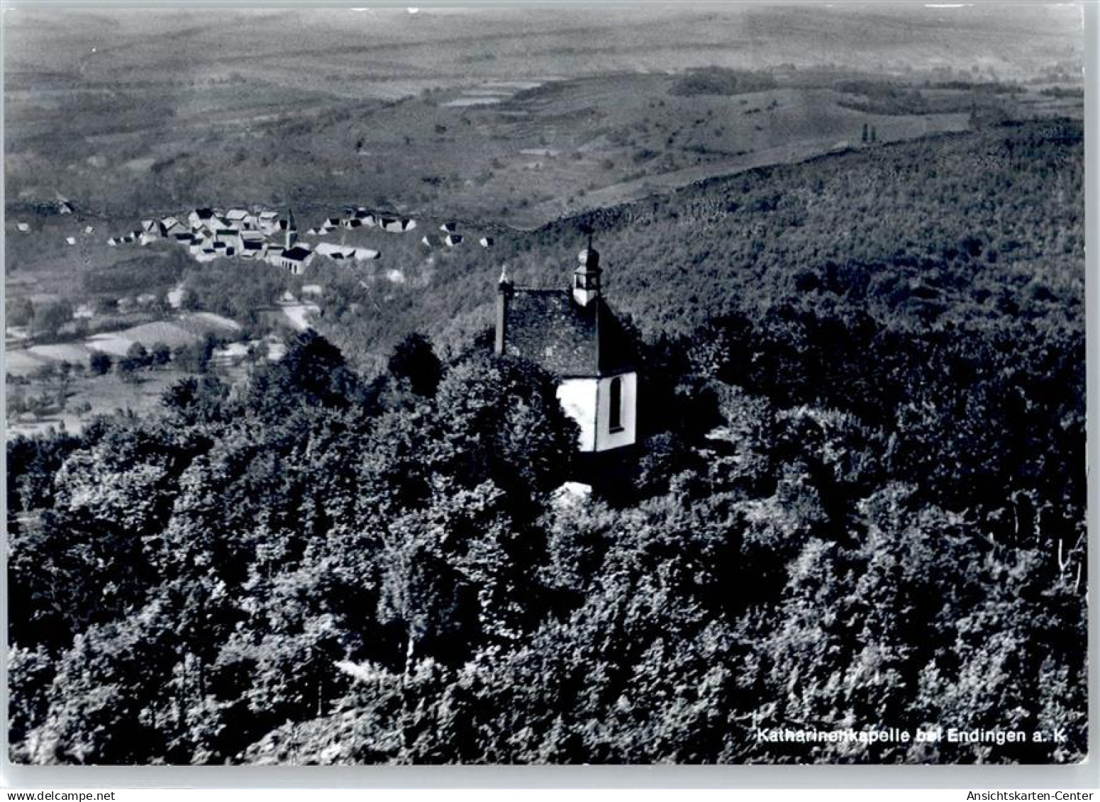 50680997 - Endingen am Kaiserstuhl