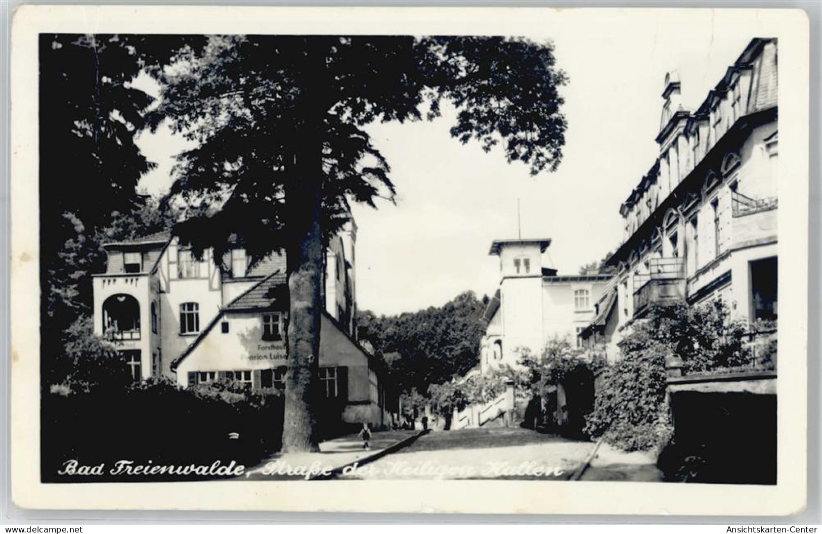 51148409 - Bad Freienwalde