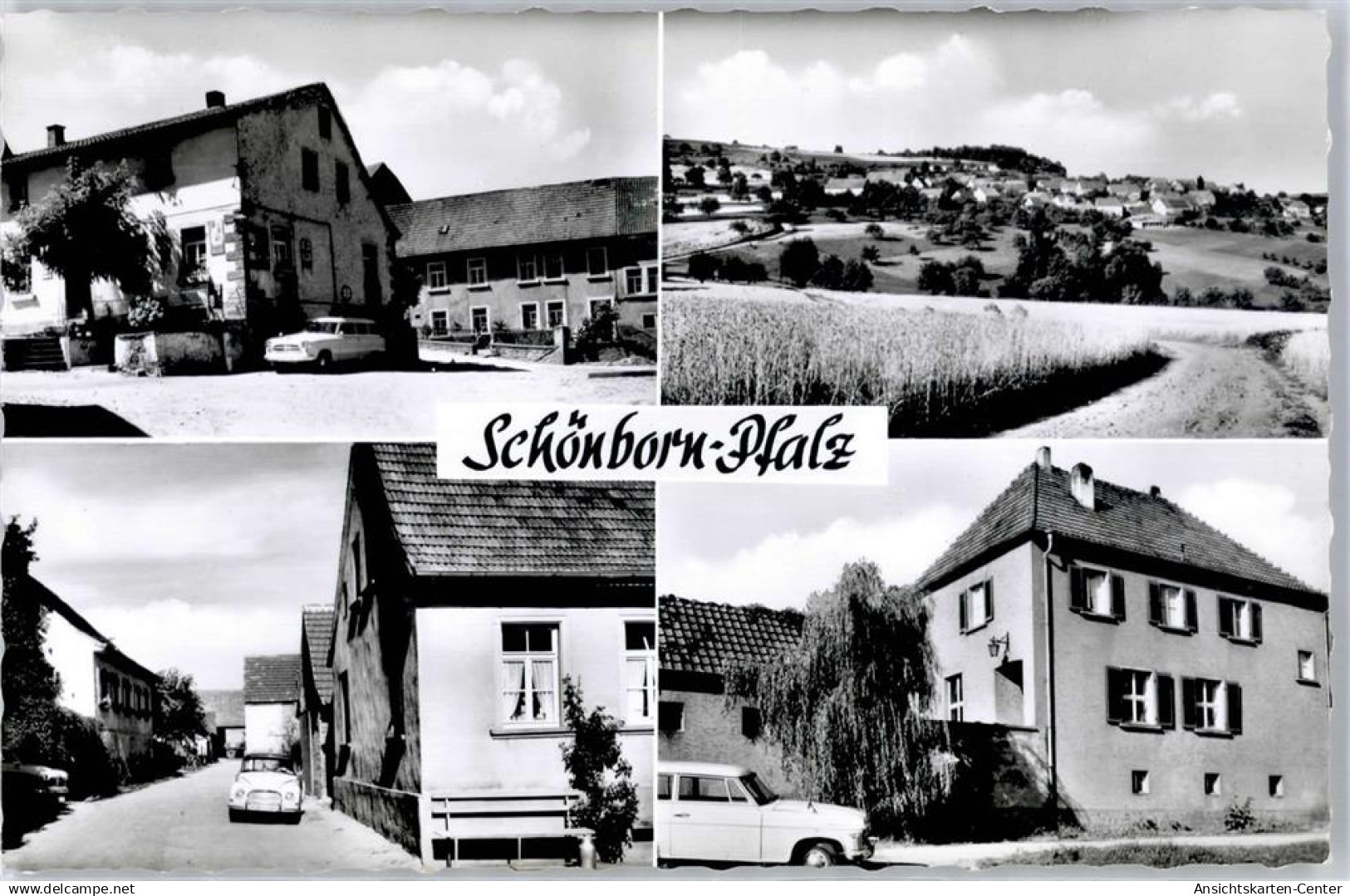 51639872 - Schoenborn , Pfalz