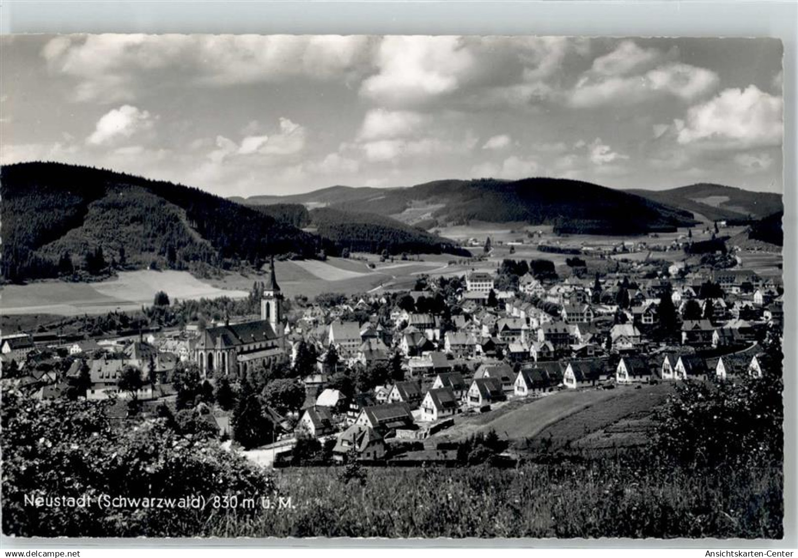 51809612 - Neustadt Titisee-Neustadt