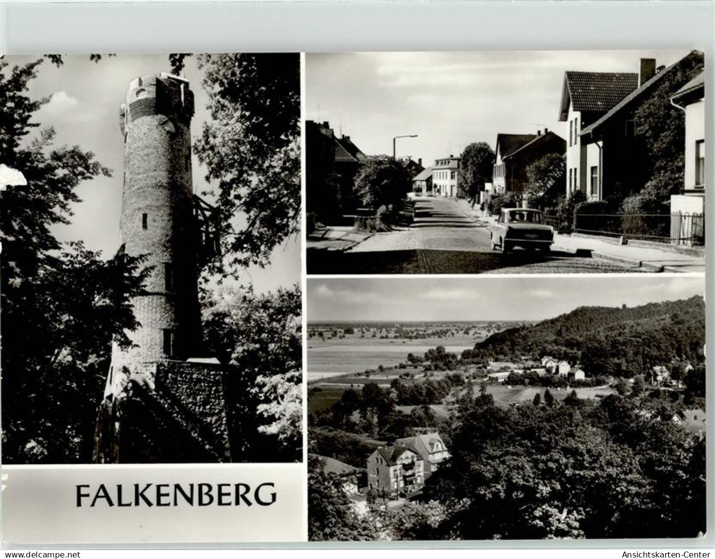 51887393 - Falkenberg , Mark