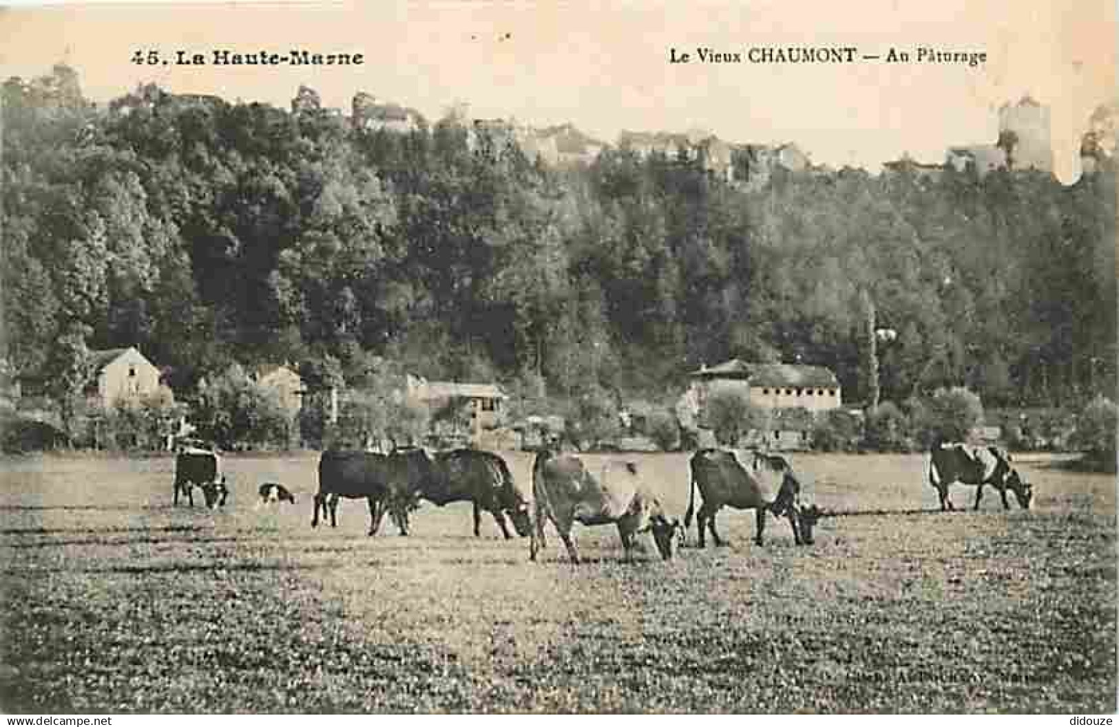 52 - Chaumont - Le Vieux Chaumont - Au Paturage - Vaches - CPA - Voir Scans Recto-Verso