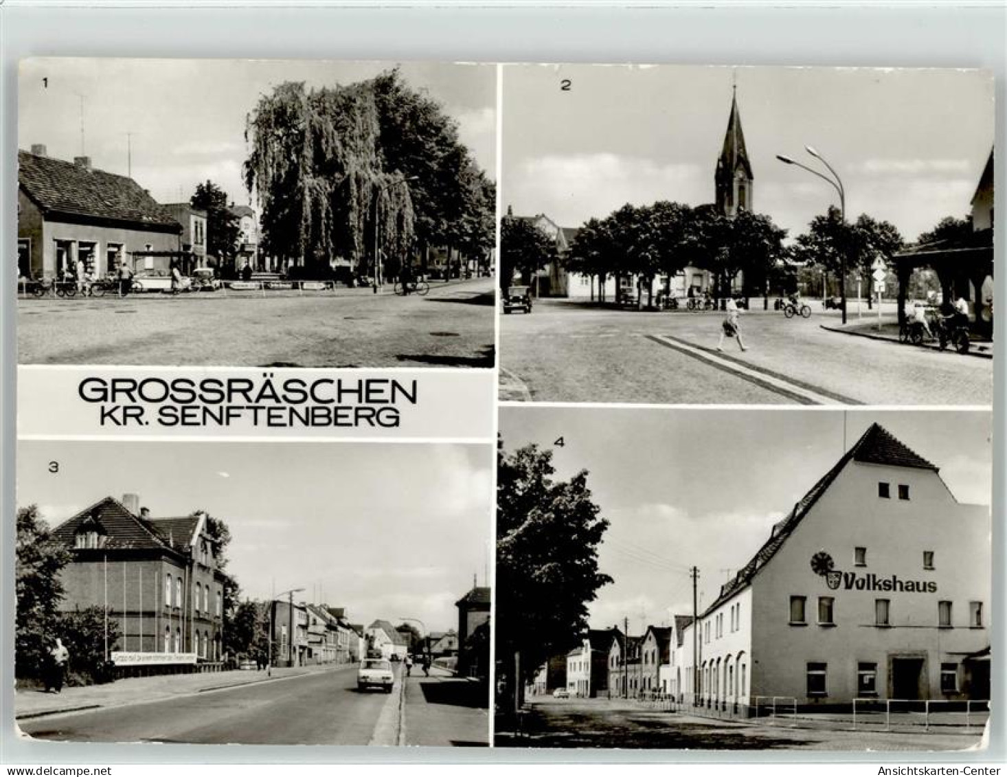 52054697 - Grossraeschen