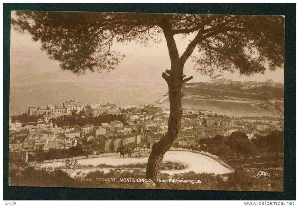 54005 / MONACO - MONTE CARLO - VUE PANORAMIQUE - Monaco PC postcard mint AK