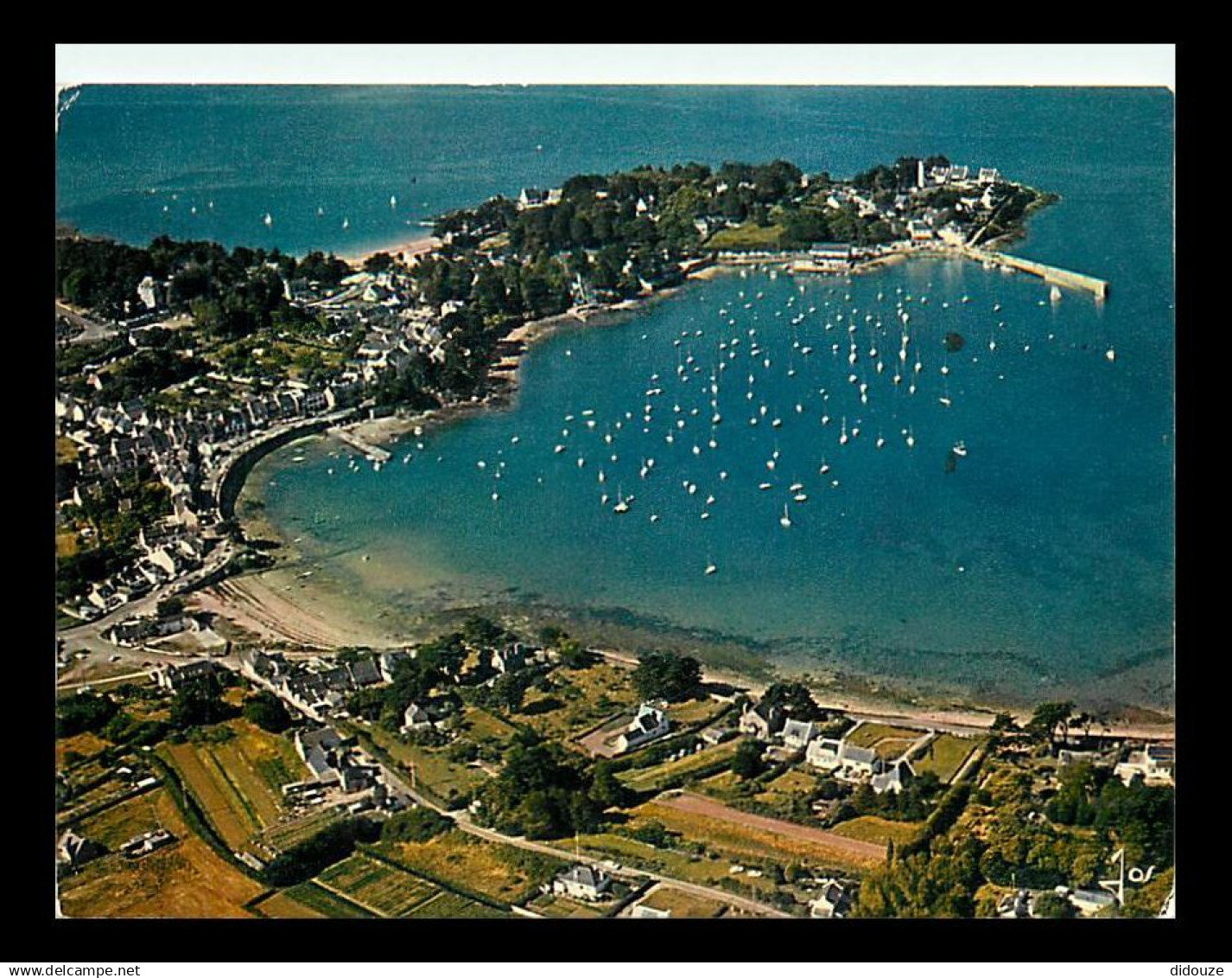 56 - Arzon - Port Navalo - CPM - Voir Scans Recto-Verso