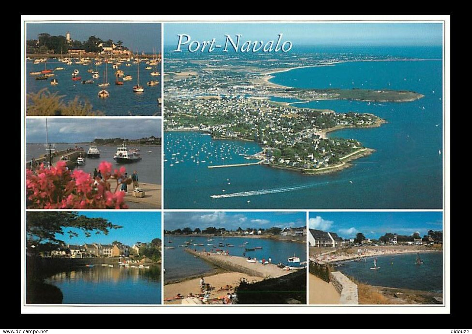 56 - Arzon - Port Navalo - Multivues - CPM - Voir Scans Recto-Verso