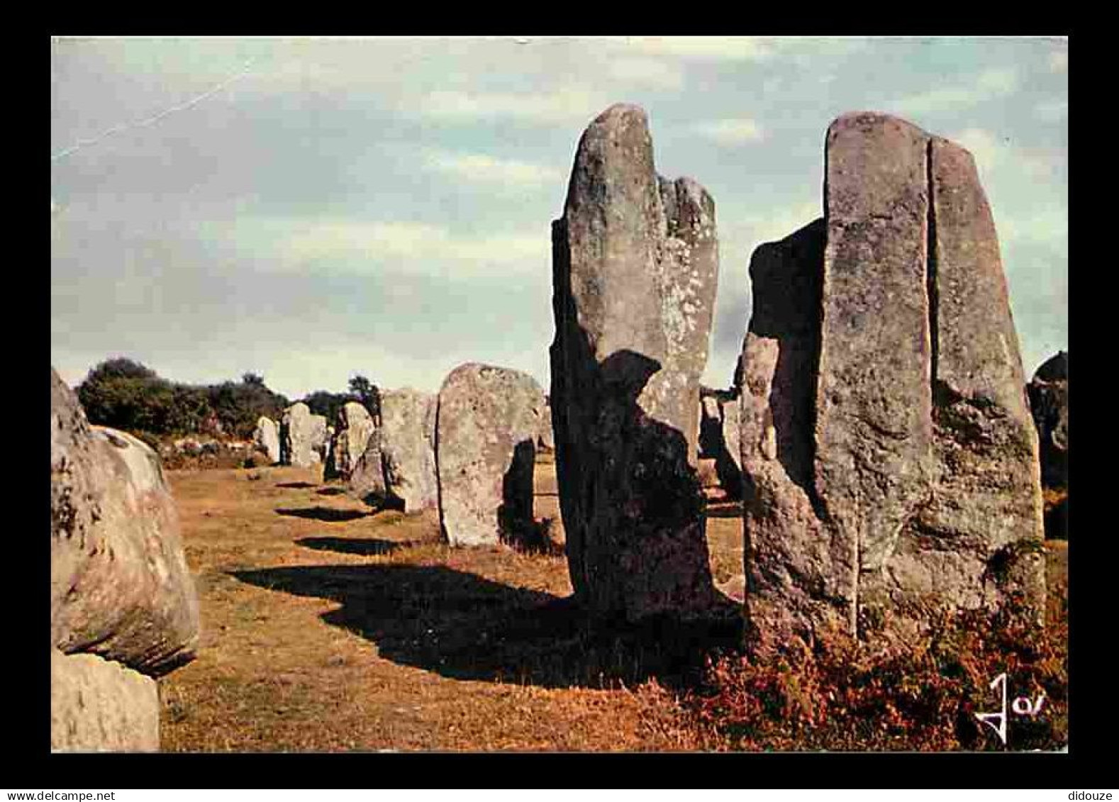 56 - Carnac - Alignements mégalithiques à Erdeven près de Carnac - Menhirs - CPM - Voir Scans Recto-Verso