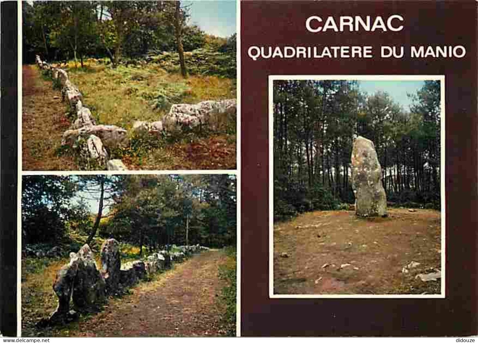 56 - Carnac - Alignements Mégalithiques de Carnac - Quadrilatère du Manio - Multivues - CPM - Voir Scans Recto-Verso