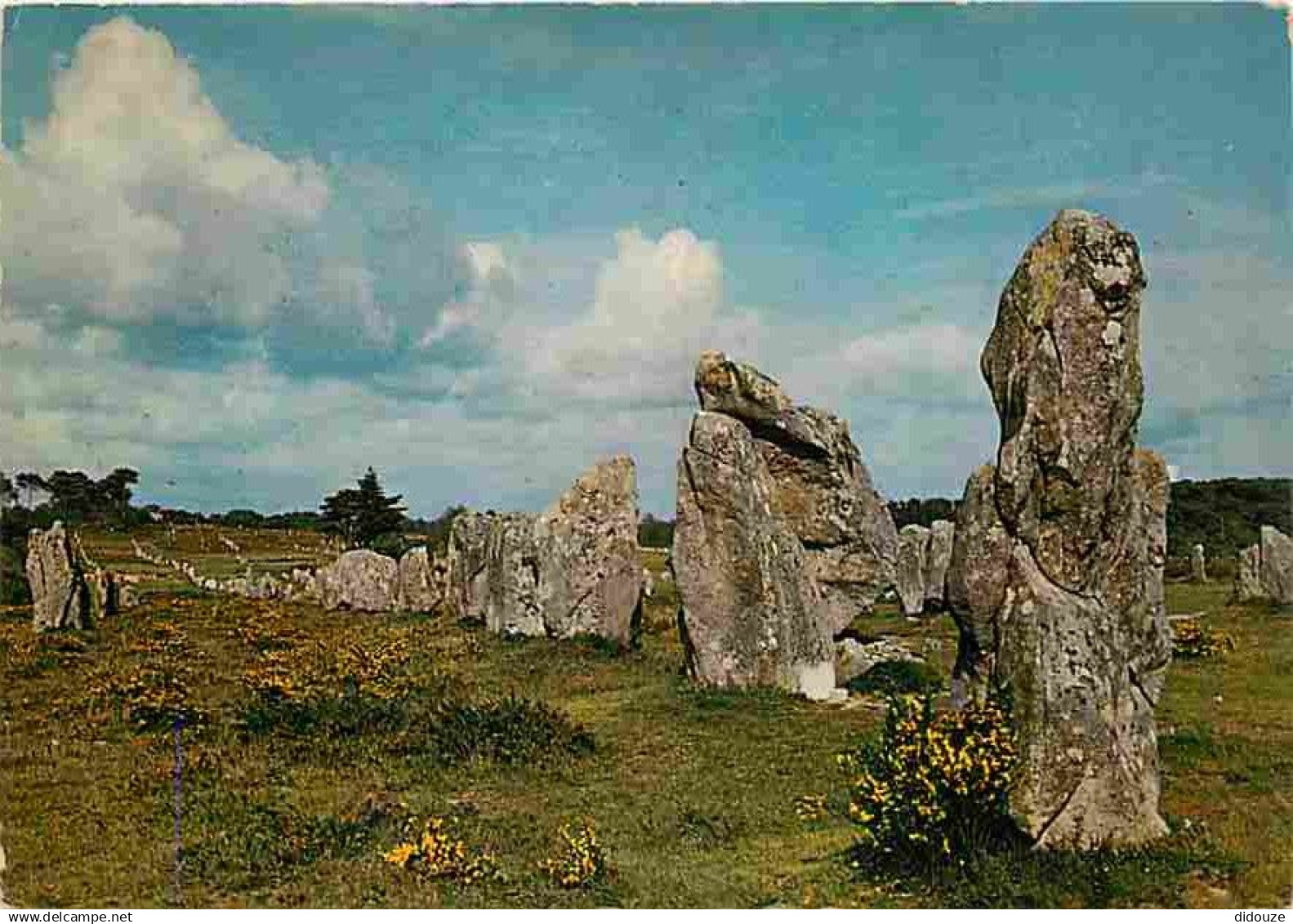 56 - Carnac - Alignements mégalithiques de la Région de Carnac - Menhirs - CPM - Voir Scans Recto-Verso