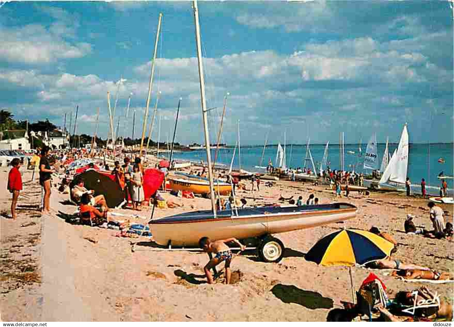 56 - Damgan - La Plage - Voiles - CPM - Voir Scans Recto-Verso