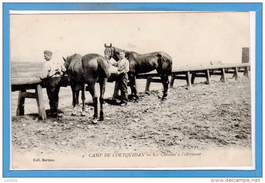 56 - GUER - COETQUIDAN -- Les chevaux ) l'Abreuvoir