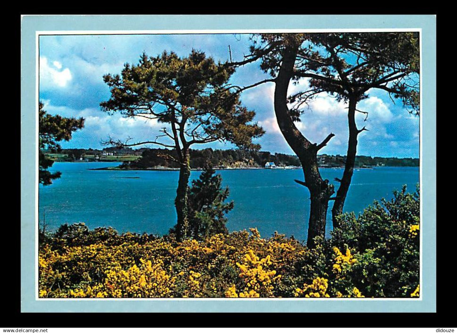 56 - Ile aux Moines - CPM - Voir Scans Recto-Verso