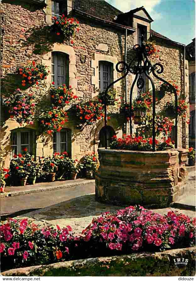 56 - Rochefort en Terre - Le Puits fleuri - Fleurs - CPM - Voir Scans Recto-Verso