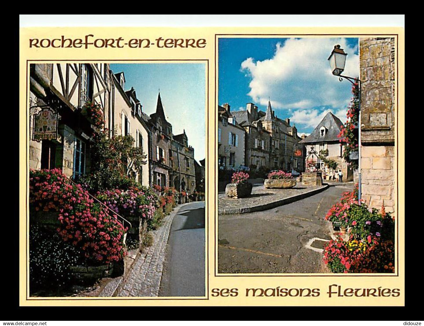 56 - Rochefort en Terre - Multivues - CPM - Voir Scans Recto-Verso