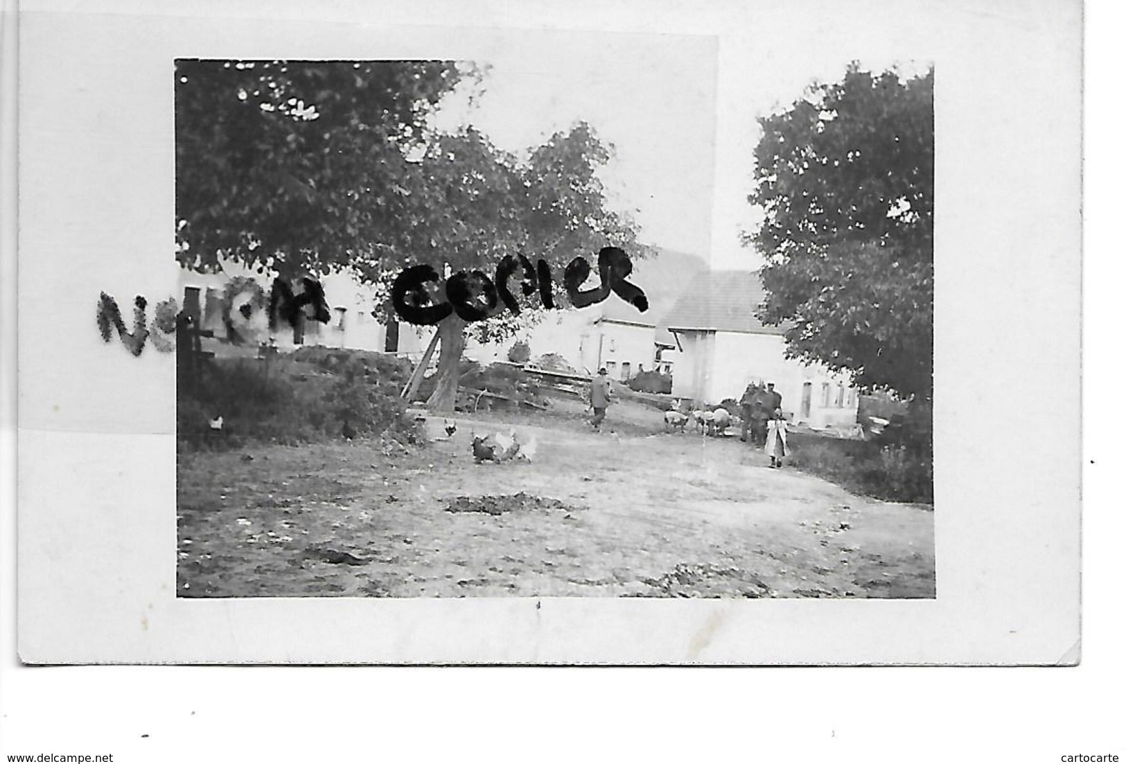 57 ARZVILLER  CARTE PHOTO 1914 1918