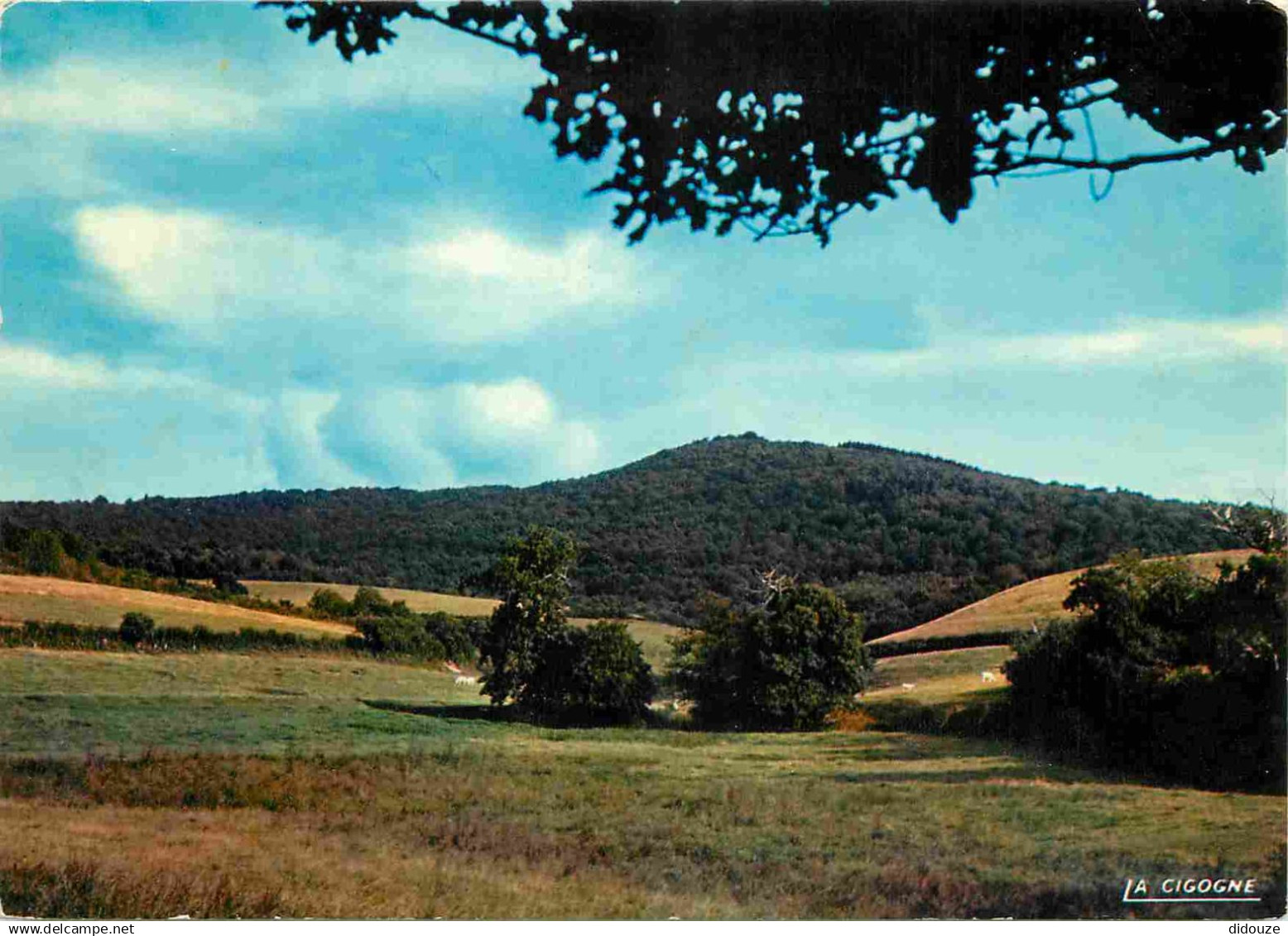 58 - Saint Honoré les Bains - La vieille montagne aux environs de Saint Honoré les Bains - CPM - Voir Scans Recto-Verso