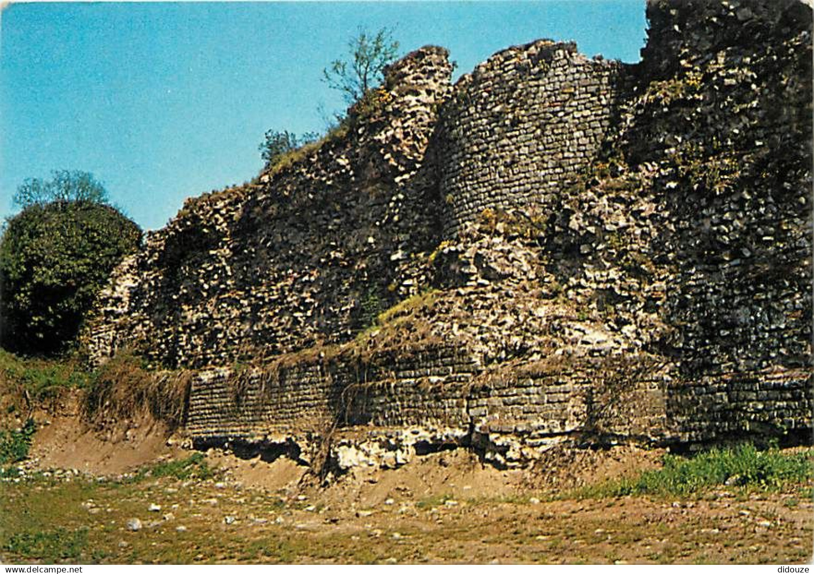 59 - Bavay - Site Archéologique - Le Mur Sud et l'Enceinte Antique - CPM - Carte Neuve - Voir Scans Recto-Verso