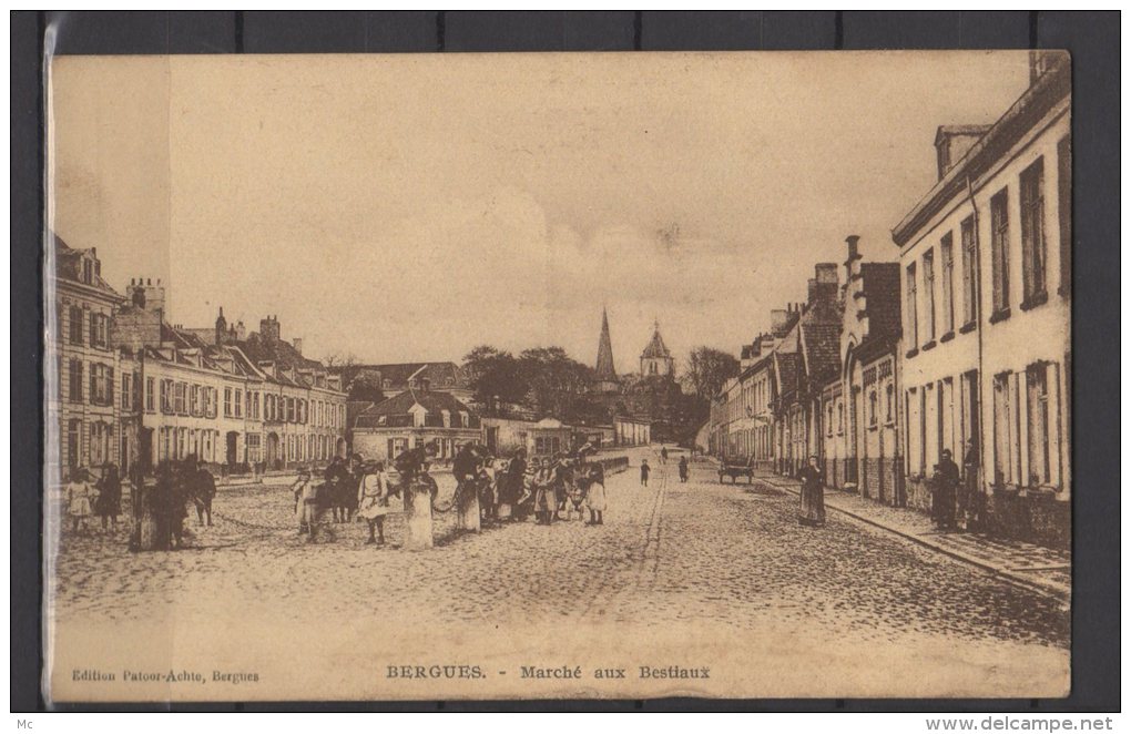 59 - Bergues - Marché aux Bestiaux