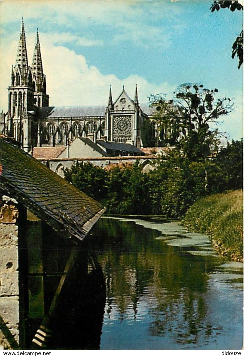 61 - Sées - La Cathédrale vue du vivier - Flamme Postale de Sées - CPM - Voir Scans Recto-Verso