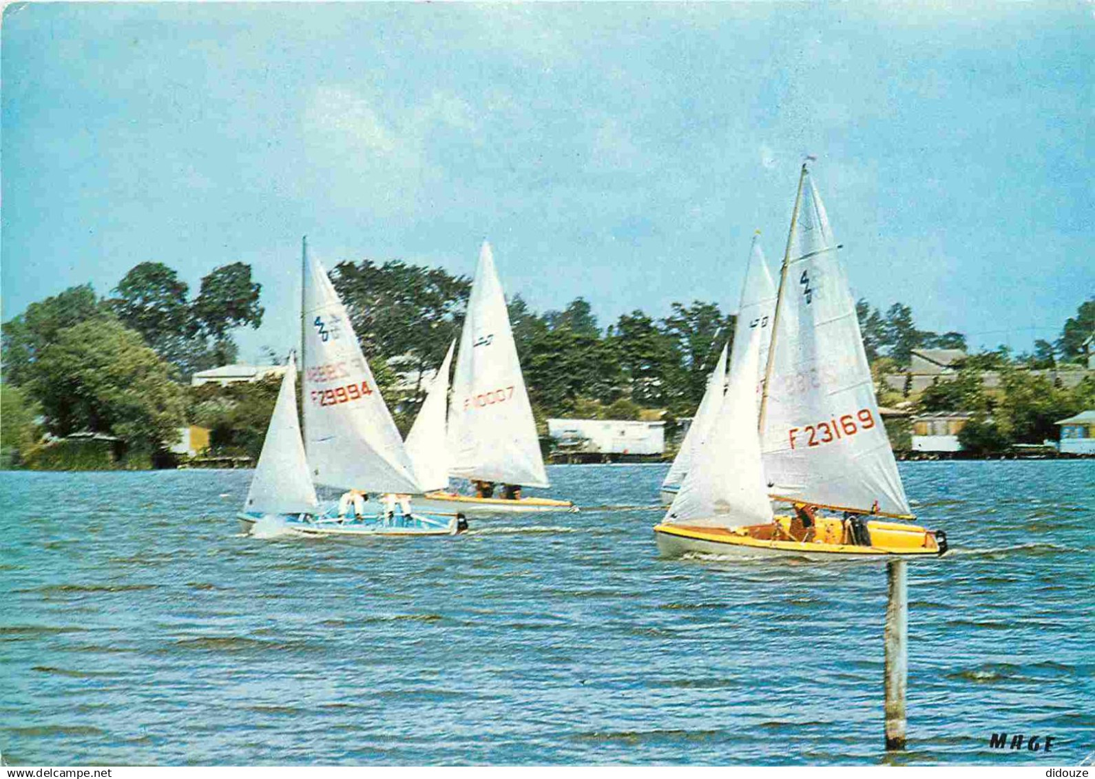 62 - Ardres - Le Lac et les Régates - Voile - CPM - Voir Scans Recto-Verso