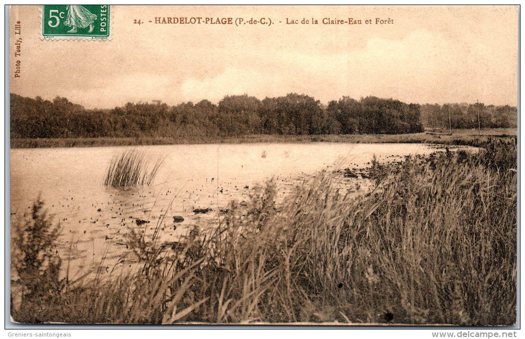 62 HARDELOT PLAGE - lac de la claire eau de Foret