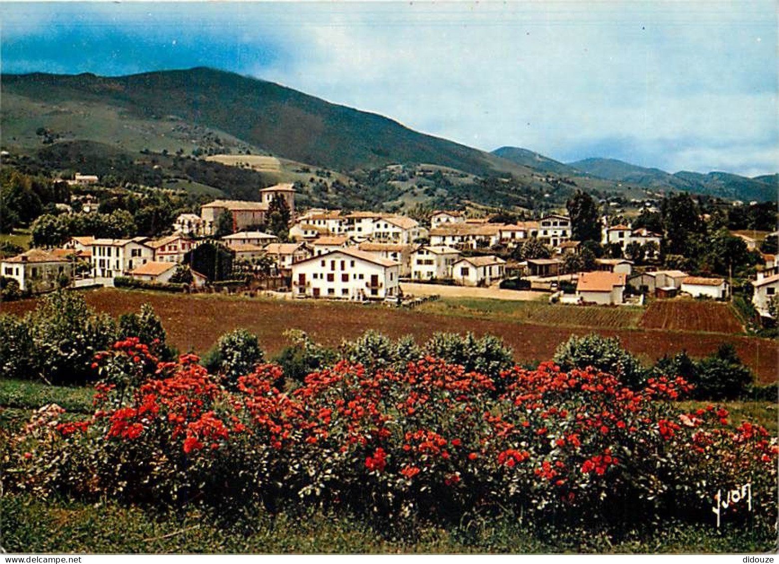 64 - Ascain - Vue Générale - Fleurs - Carte Neuve - CPM - Voir Scans Recto-Verso