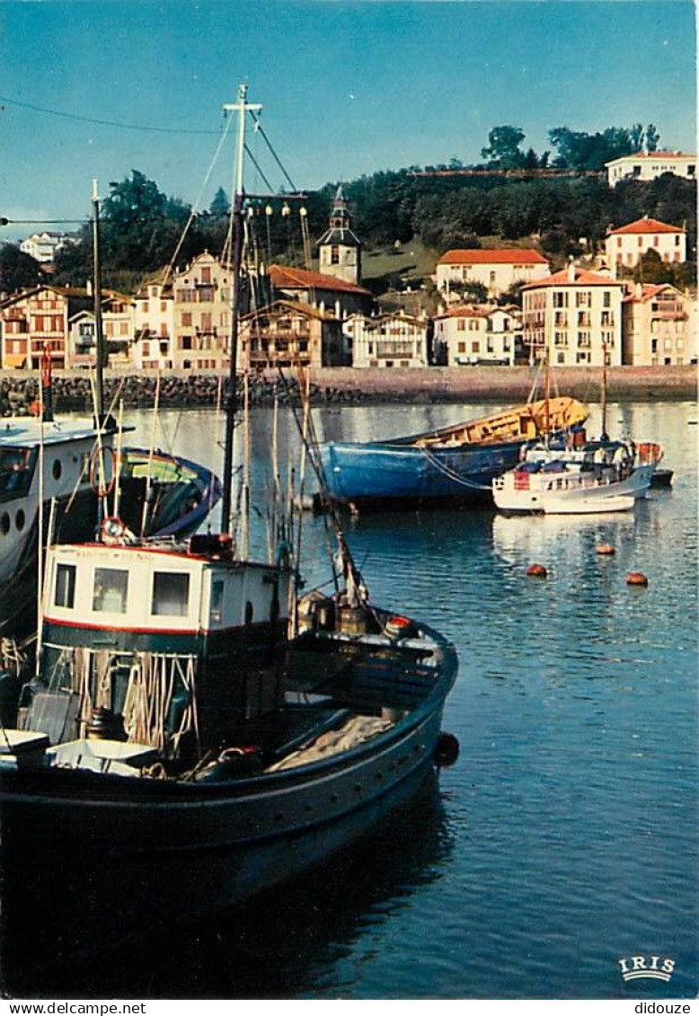 64 - Ciboure - Port et quai Ravel - Bateaux - Carte Neuve - CPM - Voir Scans Recto-Verso