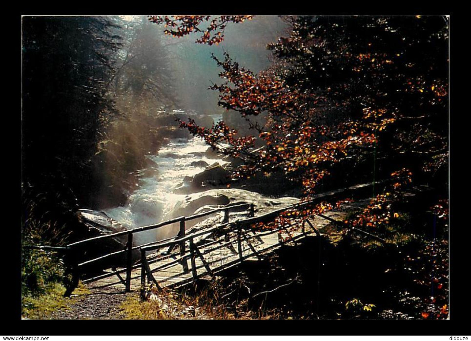 65 - Cauterets - Environs de Cauterets - La Passerelle de l'Ours - CPM - Voir Scans Recto-Verso