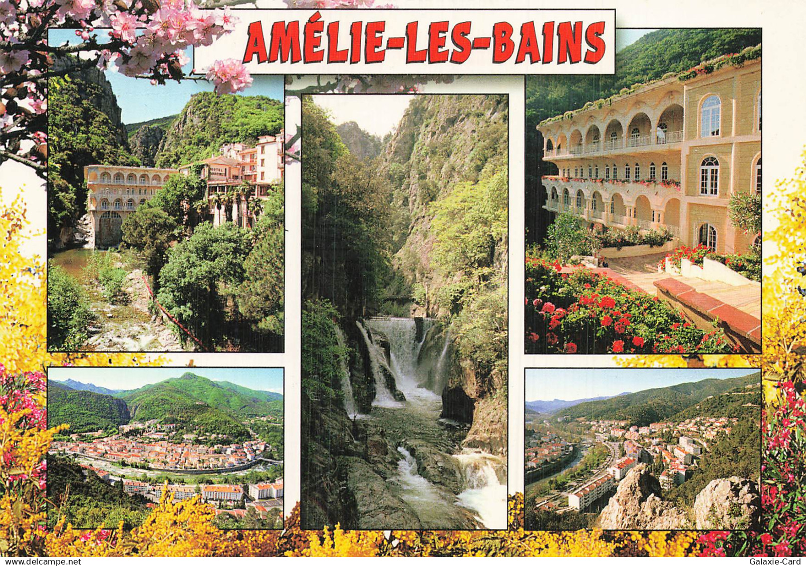 66 AMELIE LES BAINS PALALDA EN PAYS CATALAN