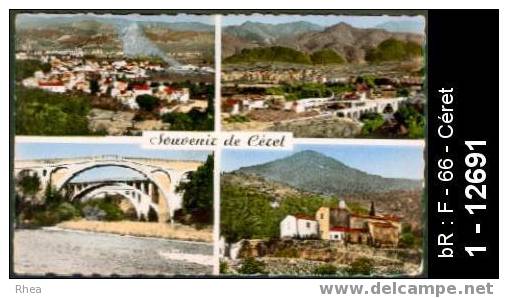 66 Céret - Souvenir de Céret - multi vue - multi vue pont - cpsm -  /  D66D  K66049K  C66049C