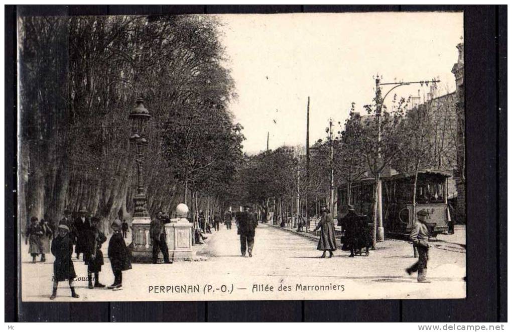 66 - Perpignan - Allée des Marronniers