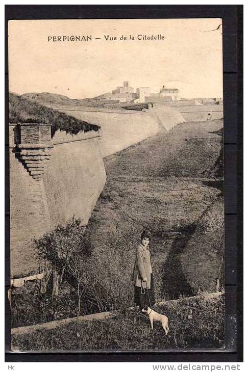 66 - Perpignan - Vue de la Citadelle