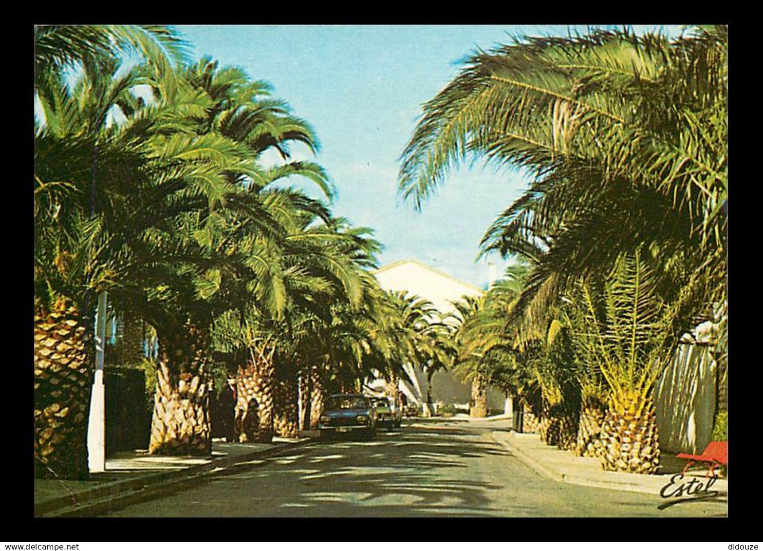 66 - Saint Cyprien - Les palmiers - CPM - Voir Scans Recto-Verso