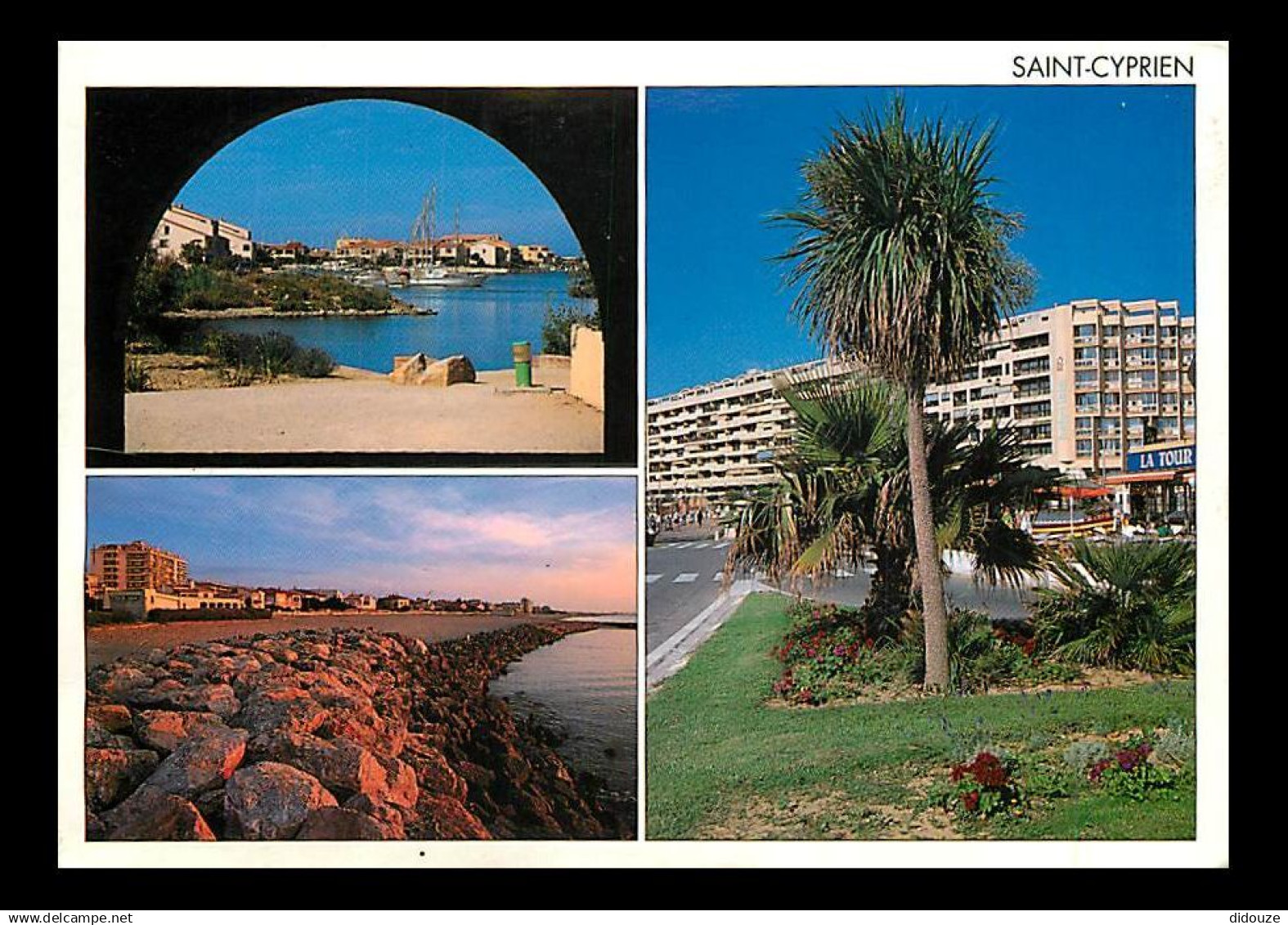 66 - Saint Cyprien - Multivues - CPM - Voir Scans Recto-Verso