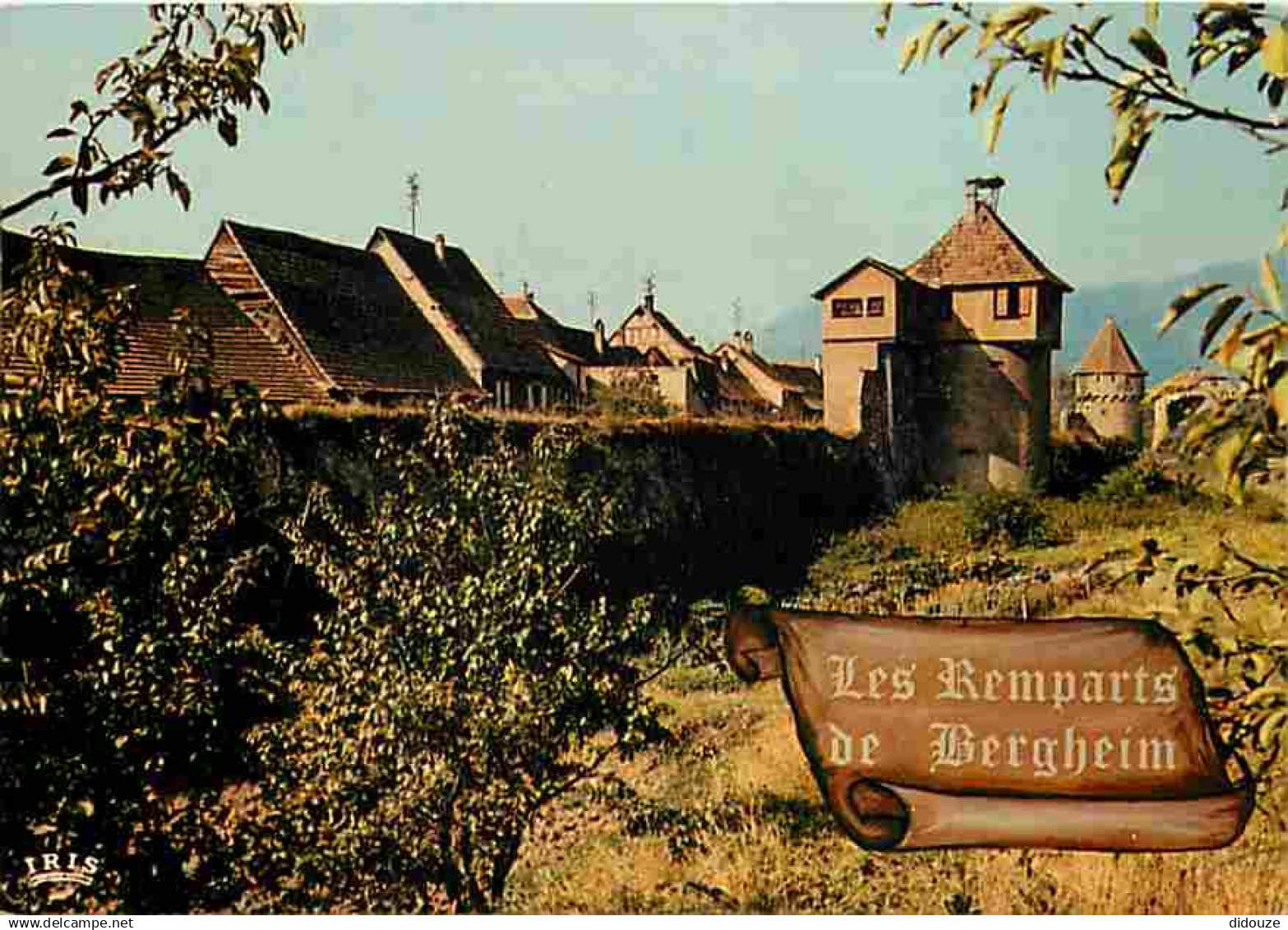 68 - Bergheim - Les Remparts de Bergheim - CPM - Voir Scans Recto-Verso