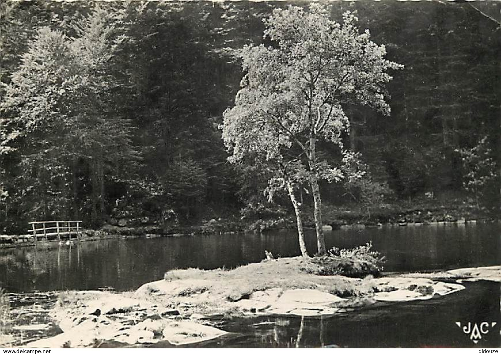 68 - Munster - Vallée de Munster - Le Fischboedle - CPSM grand format - Voir Scans Recto-Verso