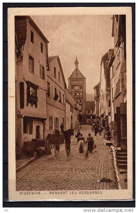 68 - Riquewihr - Pendant les Vendanges