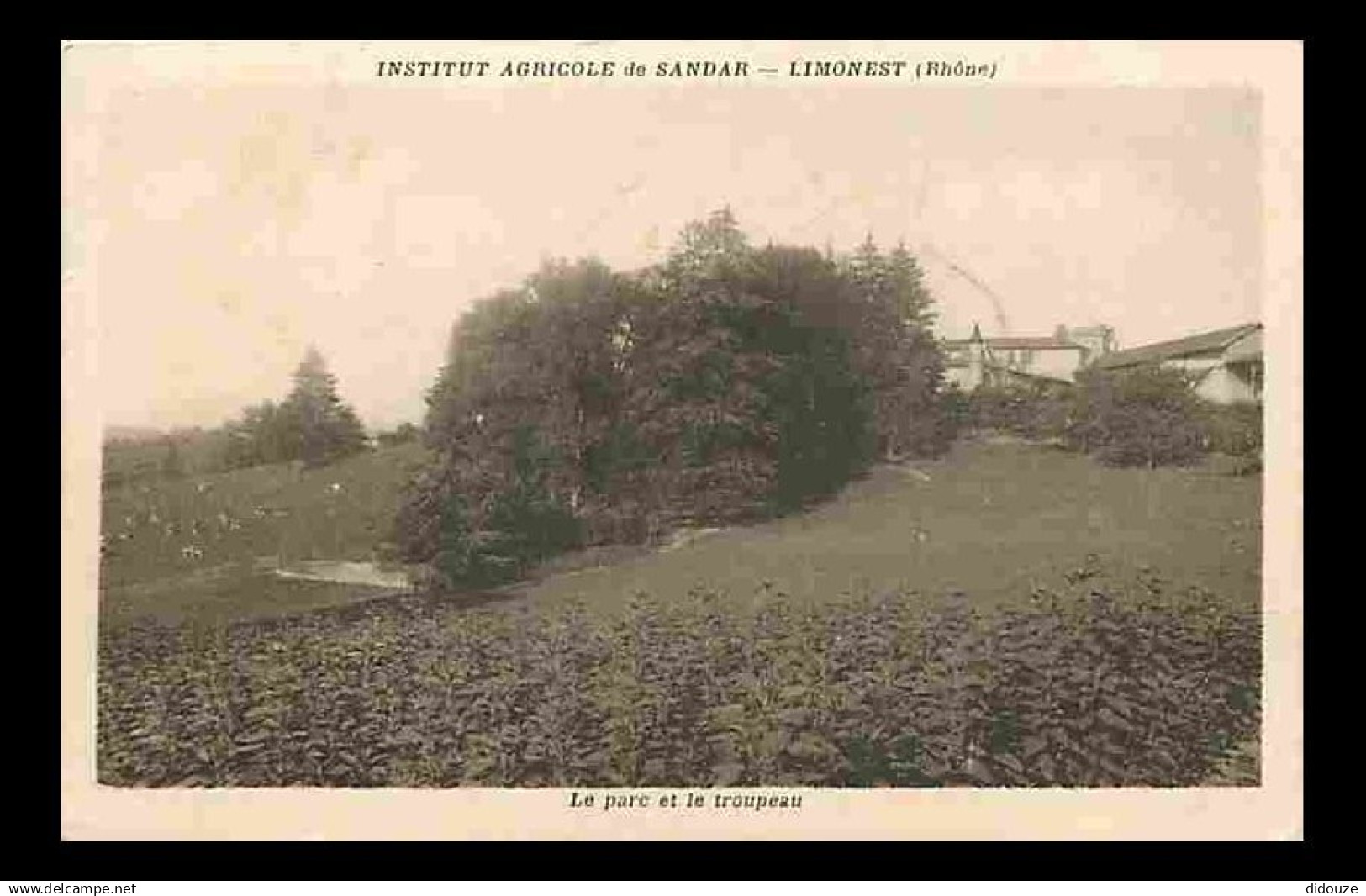 69 - Limonest - Institut Agricole de Sandar - Le Parc et le Troupeau - CPA - Voir Scans Recto-Verso