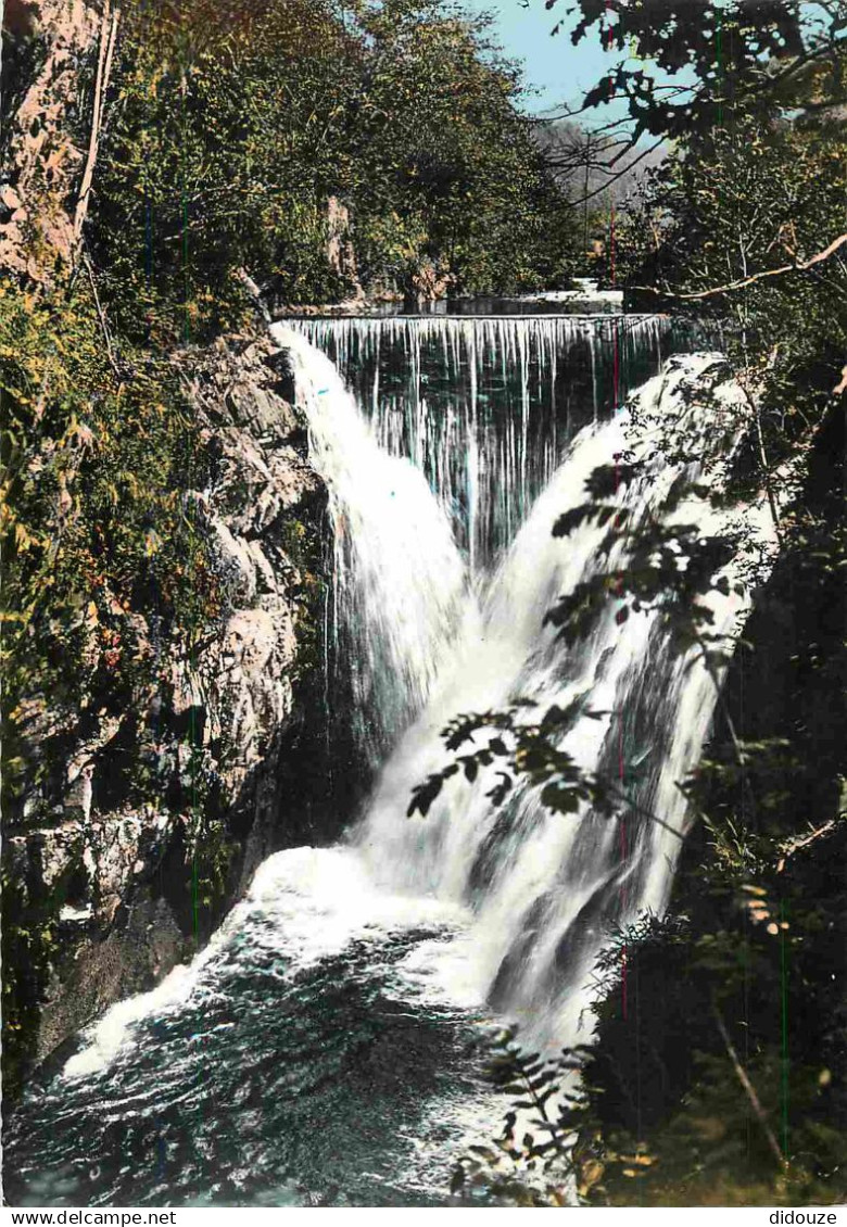 70 - Melisey - environs de Melisey - Vallée et Saut de l'Ognon - Mention Photographie Véritable - Carte Dentelée - CPSM