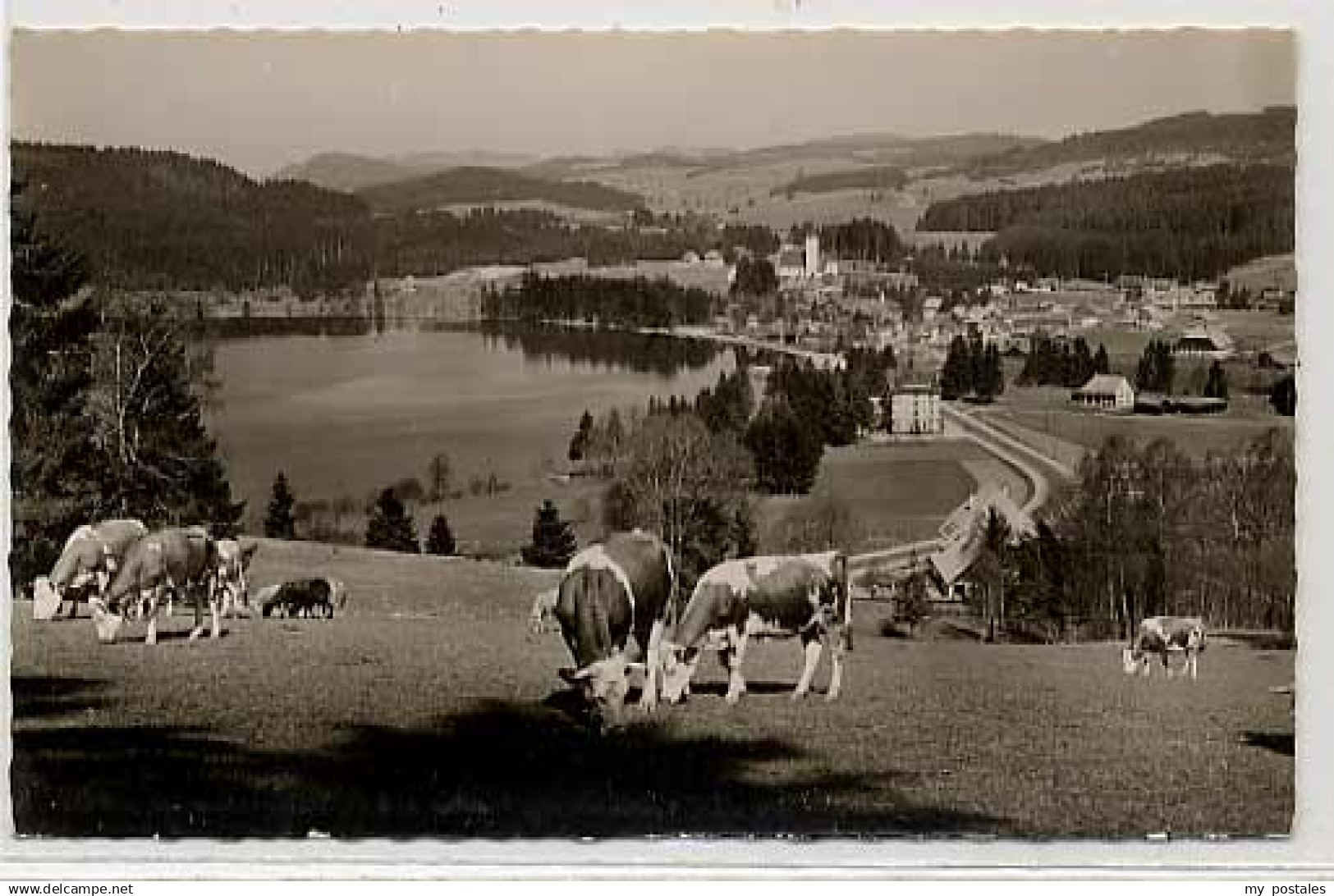 70045068 Titisee-Neustadt Titisee Neustadt