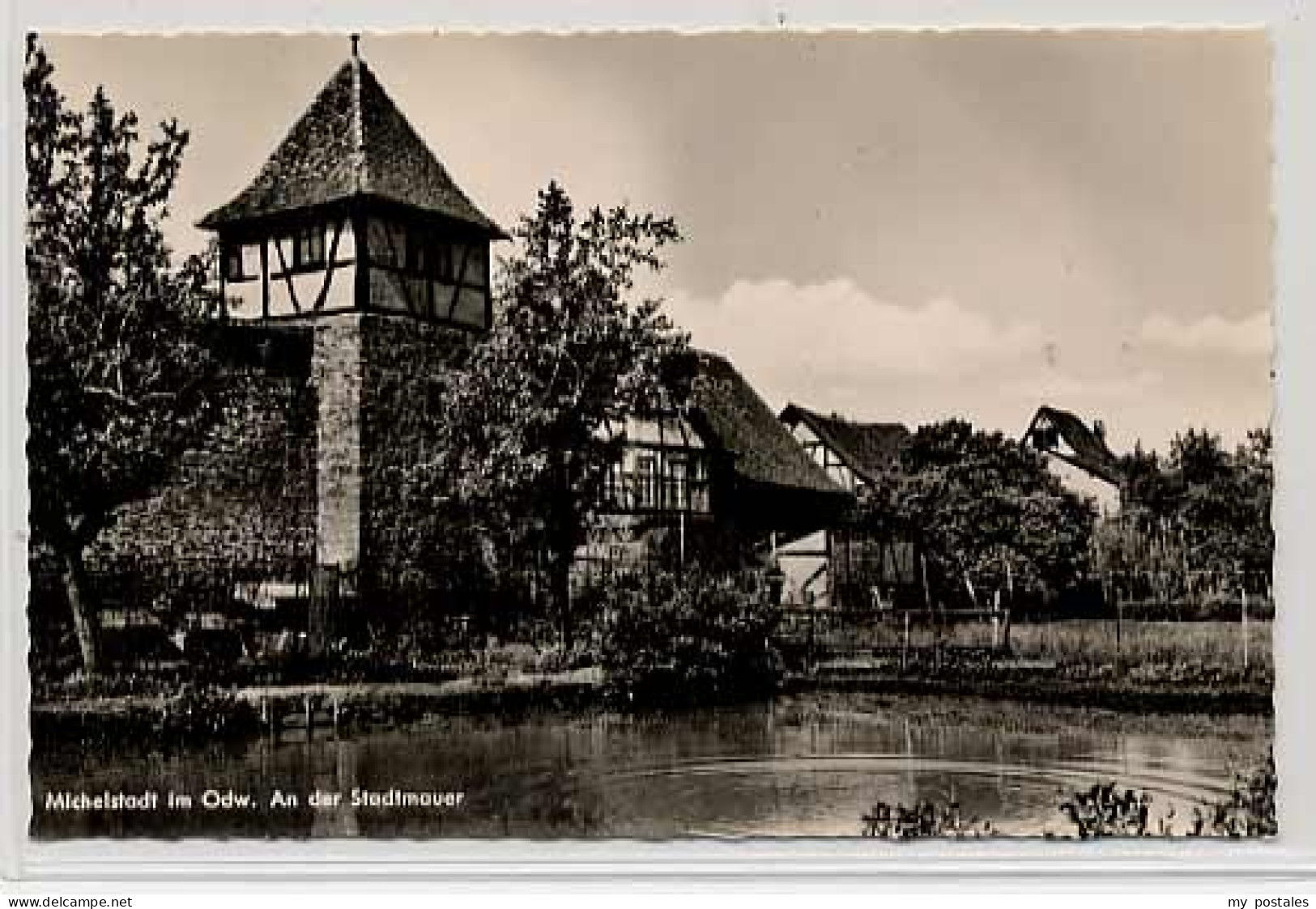 70045184 Michelstadt Michelstadt Michelstadt