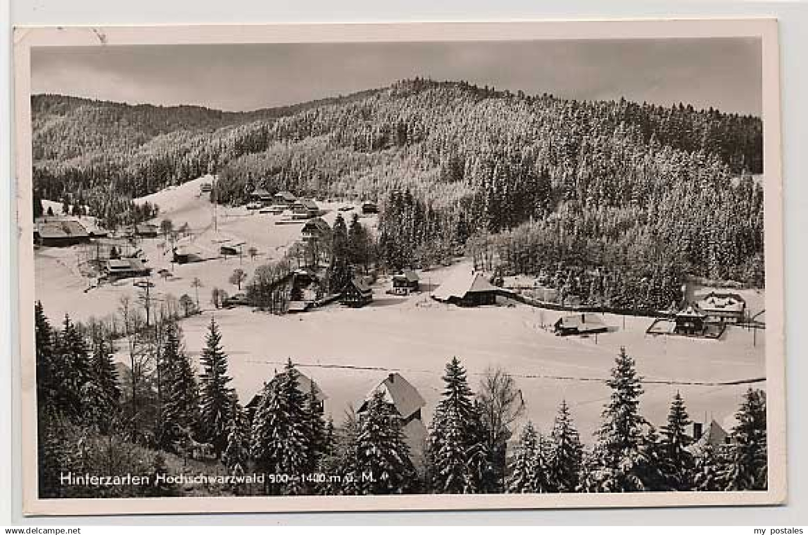 70045657 Hinterzarten Hinterzarten